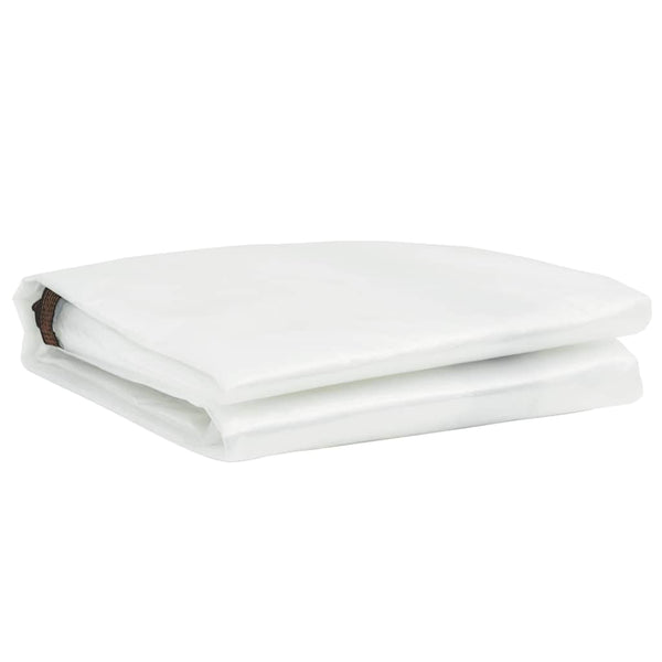 Vidaxl Clear Tarpaulin With Eyelets 2X3 M Polyethylene Tarps