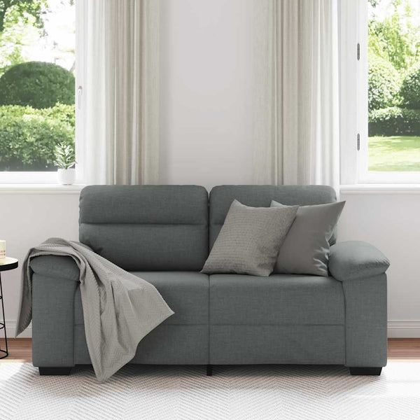 Vidaxl 2 Seater Sofadark Grey 160X81x84 Cm Fabric Sofas Armchairs & Couches