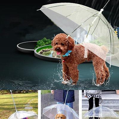 Transparent Pet Umbrella Built In Leash Leads & Head Collars