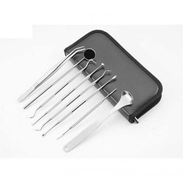 8Pcs Per Set Professional Stainless Steel Dental Tool Kit Teeth Clean Hygiene Hook Temporary Teeth & Supplies