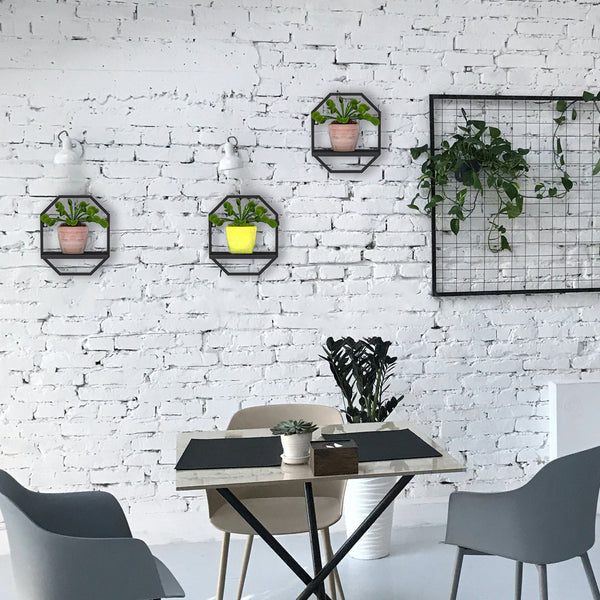 Floating Wall Shelf Storage Display Mounted Rack Wall Shelves