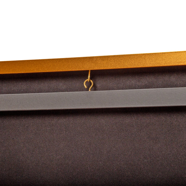 Wall Display Case Lockable Rack 80Cm Football Basketball Jersey Storage Box In Gold Display Stands