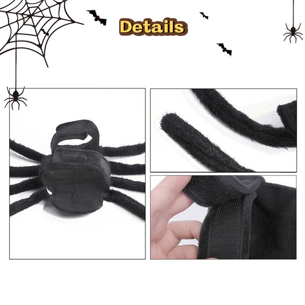 Spider Back Design Pet Halloween Costume Fits Cats Small/Medium Dogs Puppies Dog Clothing & Shoes