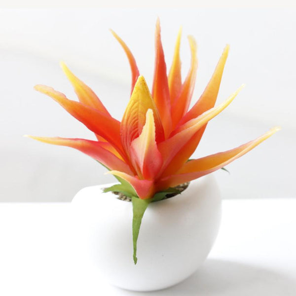 Cute Plant Fridge Magnets Succulent Cactus Orchid Refridgerator Decorations Refrigerator Magnets