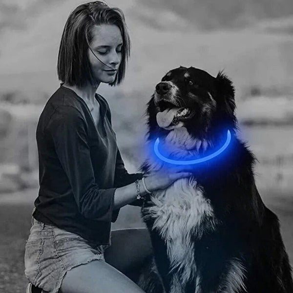 3 Mode Led Dog Collar Usb Rechargeable Detachable & Glowing Pet Safety Necklace For Night Dog Collars