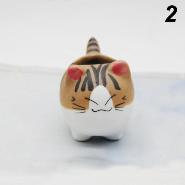 Cheeky Cat Cute Succulent Mini Flower Pot Desktop Decor Baskets Pots Window Boxes