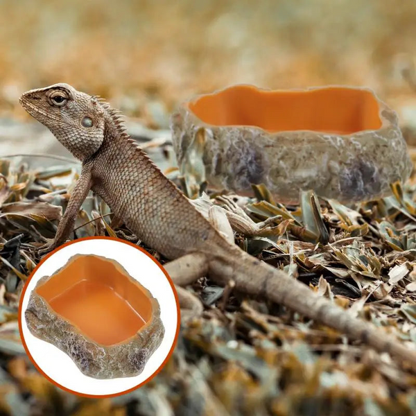 Tortoise Water Dish Pet Feeding Bowl Reptile Food Supplies Aquarium Worm Resin Rock Feeder Reptiles