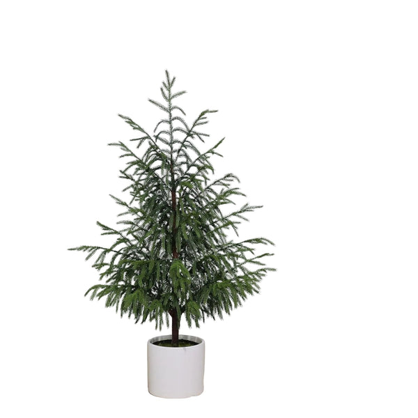 90Cm Pure Pe Norfolk Pine Christmas Tree Decoration Warm Home Holiday Seasonal Decorations