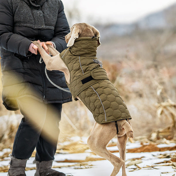 Thick And Warm Dog Clothing Outdoor Cotton Coat Vest For Winter Warmth Dog Clothing & Shoes
