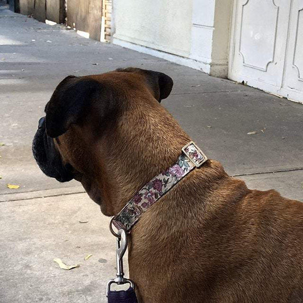 Handmade Personalized Floral Nylon Printed Dog Collar Leash Sets Leads & Head Collars