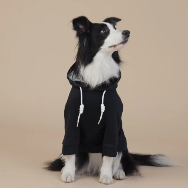 9Xl Black Cute Dog Hoodie With Adjustable Drawstring Available In Various Sizes Dog Clothing & Shoes