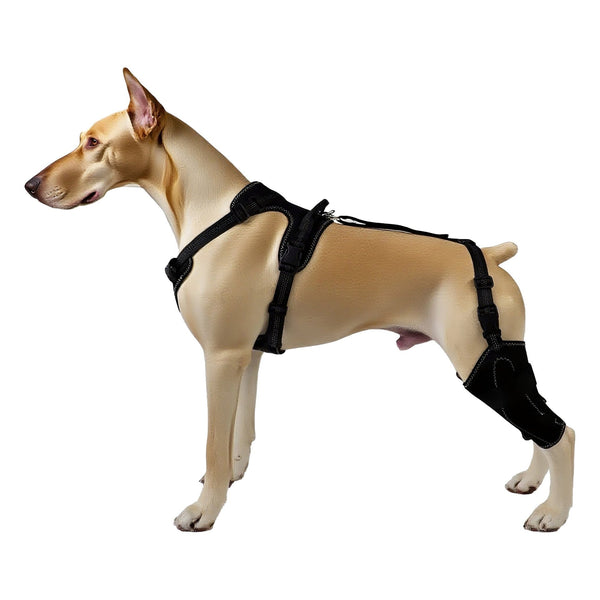Pet Protective Gear Dog Hind Leg Double Thigh Cover Dog Grooming