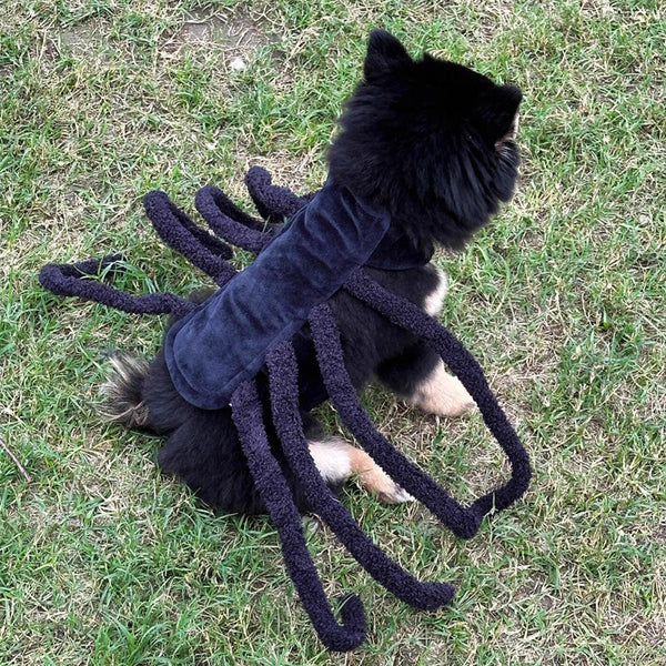 Spider Back Design Pet Halloween Costume Fits Cats Small/Medium Dogs Puppies Dog Clothing & Shoes