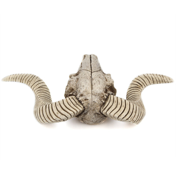Horned Skull Wall Hanging Creative Home Living Room Decor Retro Resin Craft Wall Hangings