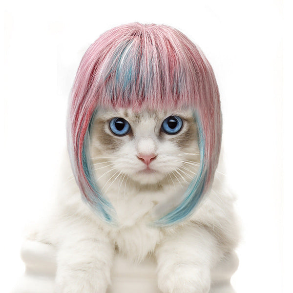 Pet Cat Long Wig Dog Universal Colorful Hair Party Outfit Dog Costumes