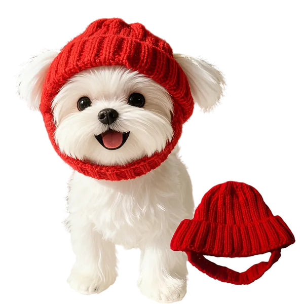 Autumn And Winter Warm Windproof Halloween Knitted Fighting Dog Hat Dog Clothing & Shoes