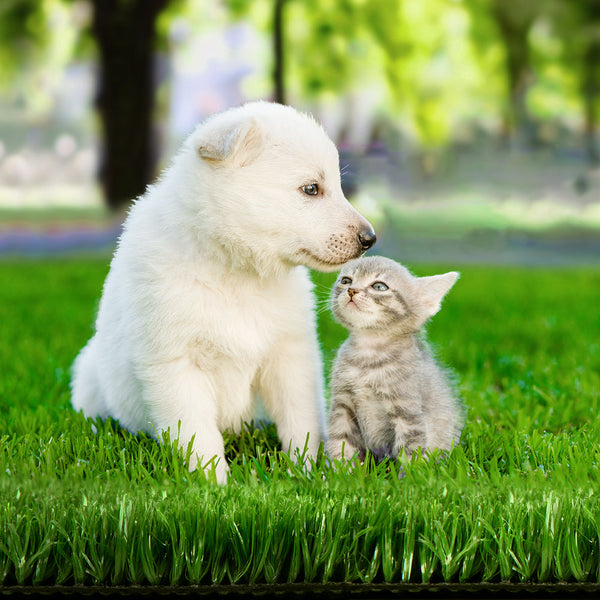 Prime Turf Synthetic 17 Millimetre Pile Height Landscaping Material Artificial Grass