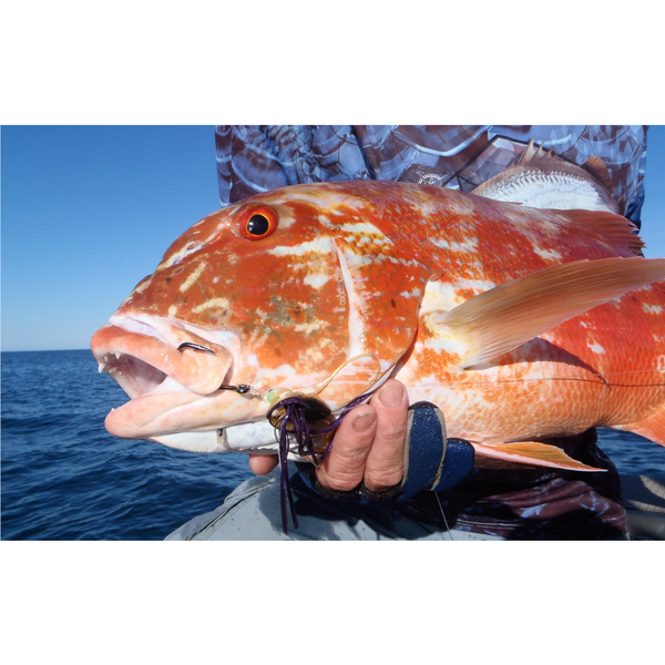 Artizan Red Kabura Skirt Body Qty 50 Baits & Lures