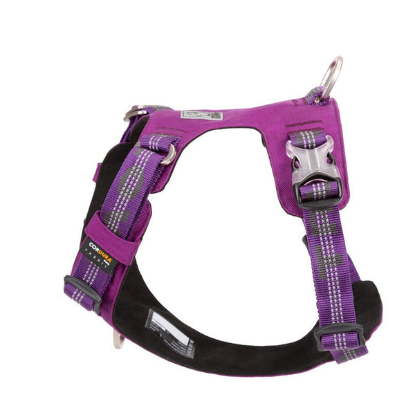 True Love Lightweight Reflective Harness Purple 2Xs Harnesses
