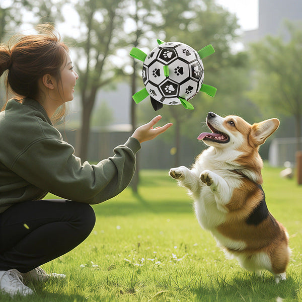 Dog Toy Ball For Teeth Cleaning And Durable Chewing Soccer Outdoor Use Dog Toys