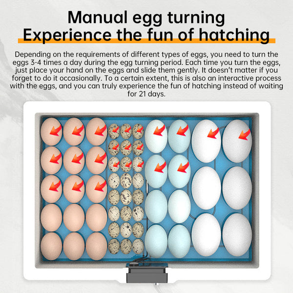 24 Hr Thermostatic Small Poultry Incubator. Biomimetic Waterbed. Auto & Smart. For Chick Duck Goose Eggs Incubators