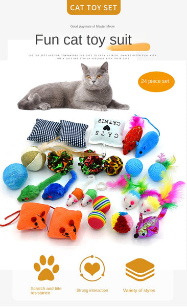 Pet Cat Toy Set Catnip Bag Rainbow Ball Colorful Mouse 24 Piece Cat Toys