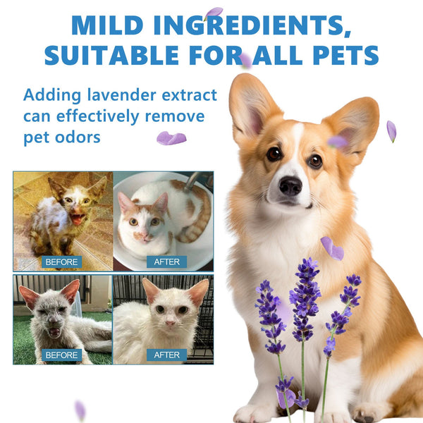 Pet Hair Daily Gentle Cleaning And Scented No Rinse Care Essence For Cats Dogs Dog Grooming