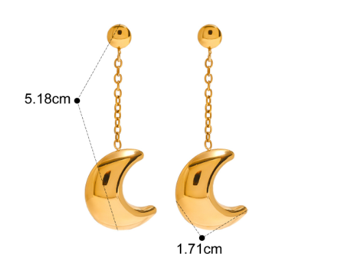 Veile Studios Stainless Steel Moon Dangle Earrings