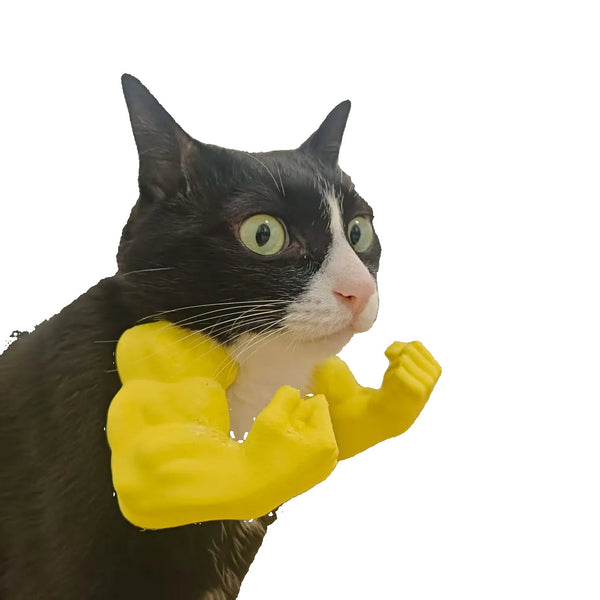 Hulk Cat Arm Pet Dog Toy Photography Prop 3D Printed Cute Funny Creative Costume Backpack Dog Toys