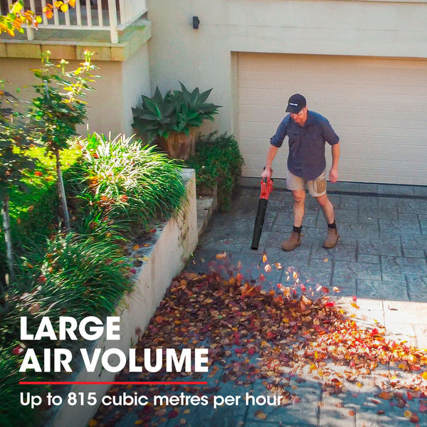 Baumr Ag Bw3 20V Sync Cordless Leaf Blower Skin Only Leaf Blowers