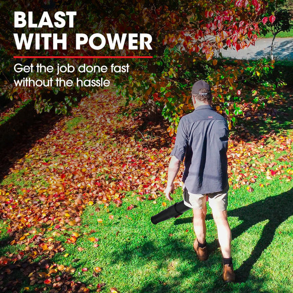 Baumr Ag Bw3 20V Sync Cordless Leaf Blower Skin Only Leaf Blowers