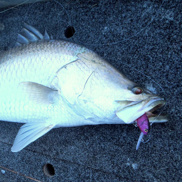 Finesse Madbass Carbon 85Mm Baits & Lures