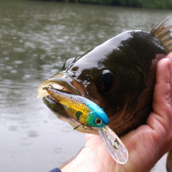 The Performer Other Tackle & Accessories