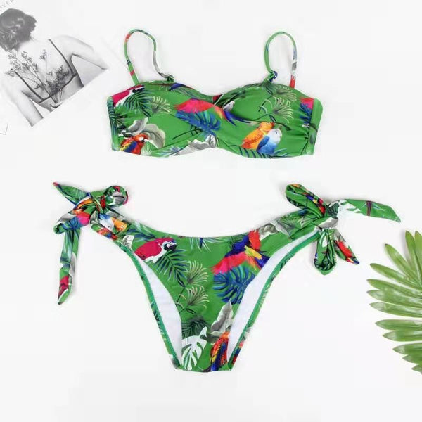 Women's Printed European And American Style Separate Padded Swimsuit Swimwear