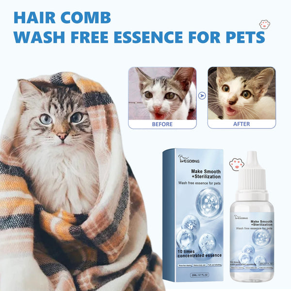 Pet Hair Daily Gentle Cleaning And Scented No Rinse Care Essence For Cats Dogs Dog Grooming