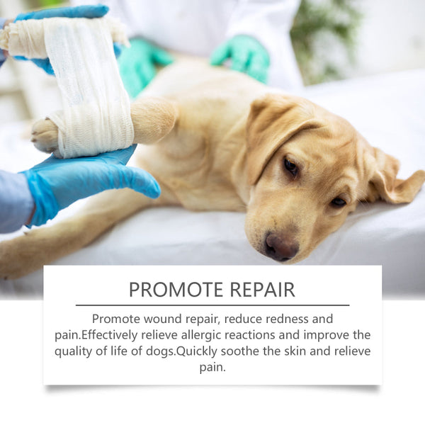 Dog Care Spray Clean Pet Plant Essence Skin Dog Grooming