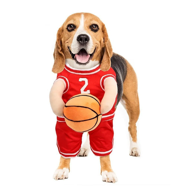Dog Basketball Cost With Ball Pet Clothing And Clothes Dog Clothing & Shoes