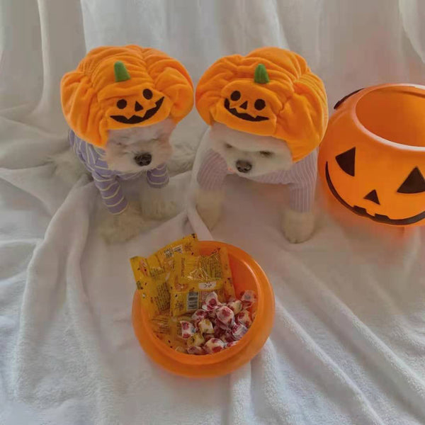 Pet Cat Dog Pumpkin Hat Halloween Ghost Festival Decoration Headwear Supplies Dog Costumes