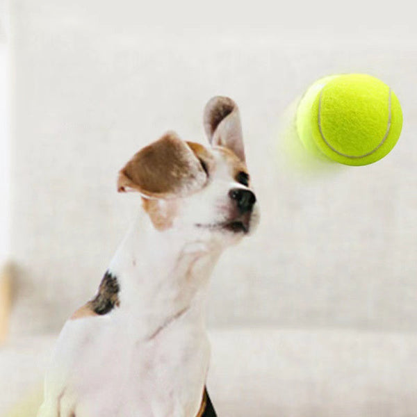 Dog Toy Rubber Elastic Tennis Ball Small And Medium Sized Bite Dog Toys