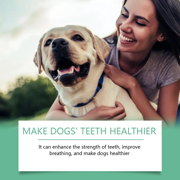 Yegbong Tooth Cleaning Powder For Dogs A Gentle Formula Freshen Breath And Protect Pet Oral Health Dog Grooming