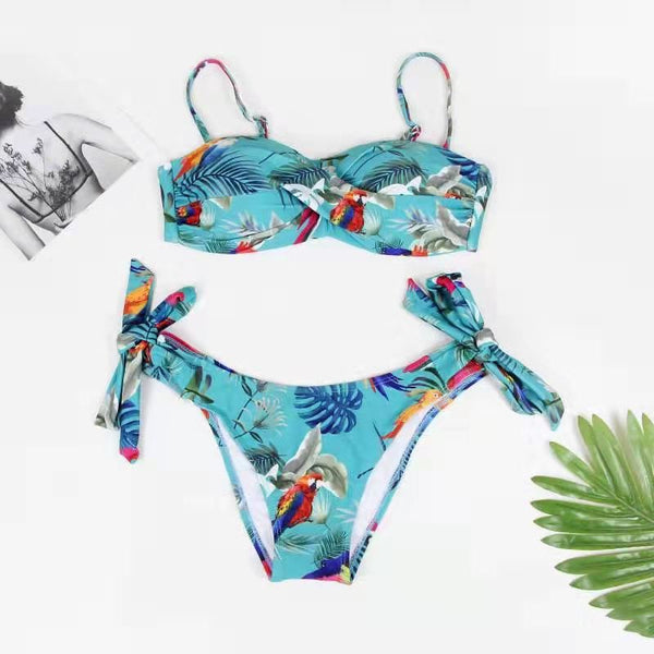 Women's Printed European And American Style Separate Padded Swimsuit Swimwear