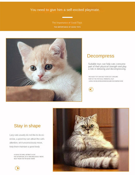 Pet Cat Toy Set Catnip Bag Rainbow Ball Colorful Mouse 24 Piece Cat Toys