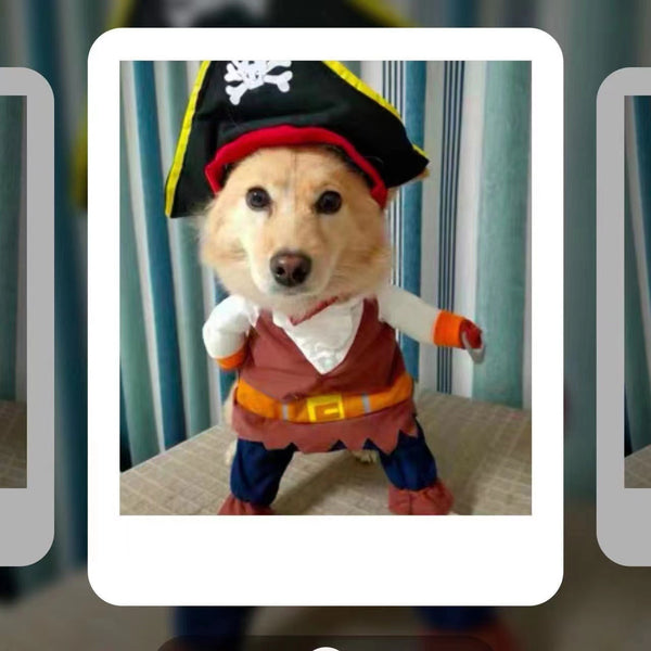 Universal Two Legged Pet Dog Pirate Transformation Costume For Cute And Unique Pets Dog Clothing & Shoes
