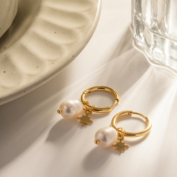 And American Star Pendant Stainless Steel Earrings Other Training & Obedience