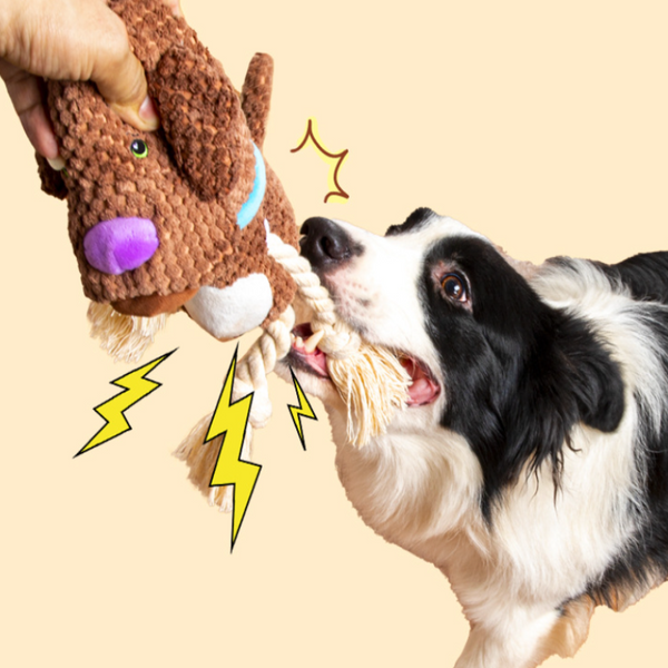 Pet Voice Relieves Bore Golden Retriever Dog Toy Plush Interactive Teeth Cleaning Teeth Grinding Medium Sized Dog Dog Toys