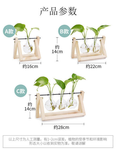 Plant Transparent Wooden Frame Vase Desktop Ornament Container Vases