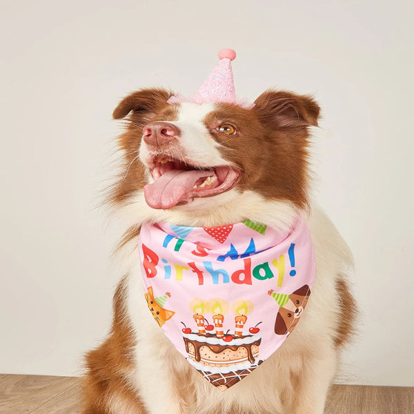 Dog Happy Birthday Decoration Costume Hats Bowknot Bandana Neckerchief Bibs Banners Party Cat Pets Accessories Perros Dog Clothing & Shoes