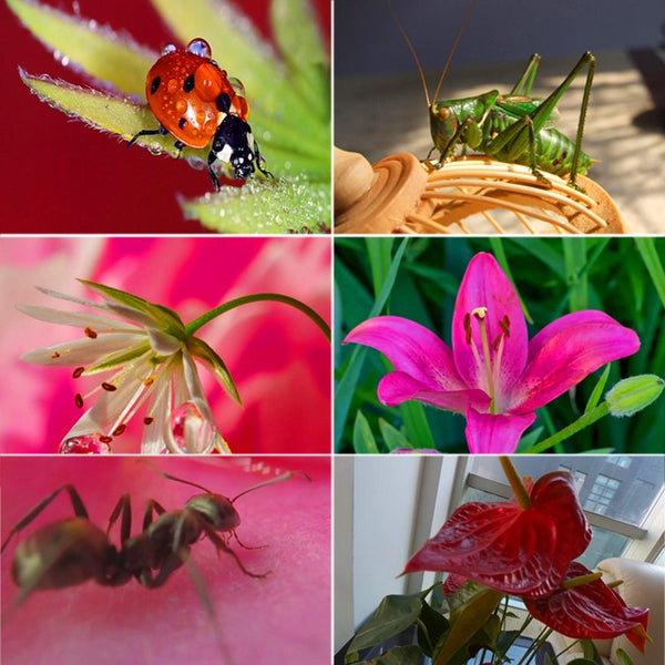 58 Millimetre Macro Lens With Adapter Ring For Gopro Hero5 Action Cameras Lenses