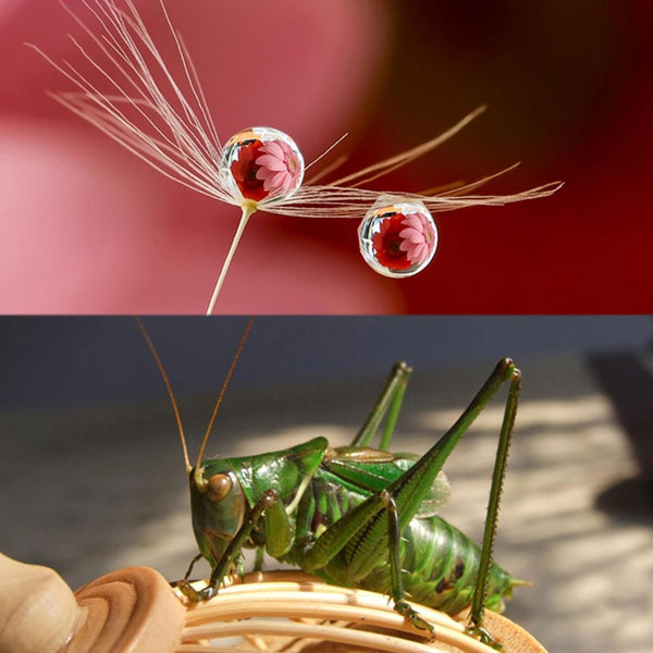 10X Macro Lens For Gopro Hero5 Action Camera 52Mm Close Up Shots Lenses