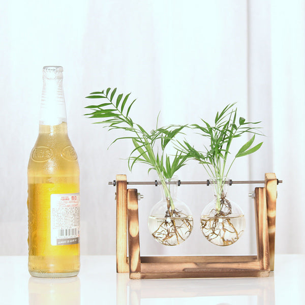 Plant Transparent Wooden Frame Vase Desktop Ornament Container Vases